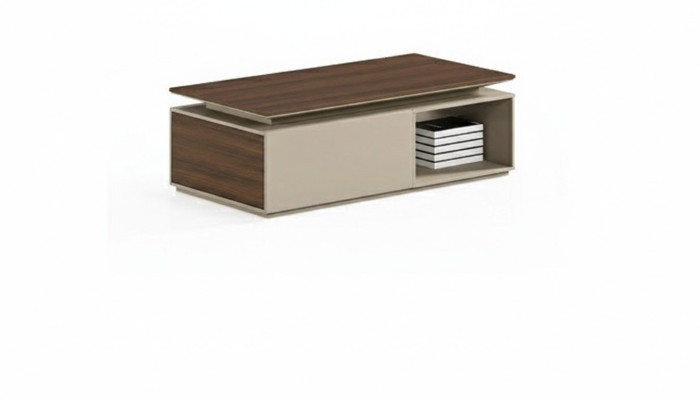 Tavolino da salotto Tavolo moderno da soggiorno Tavoli di design Soggiorno in legno