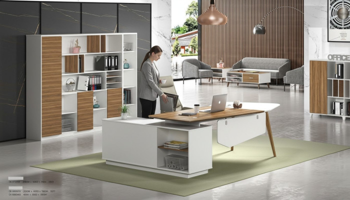 Armadio per documenti, librerie, scaffali, mobile decorativo, mobili da ufficio di lusso, armadi
