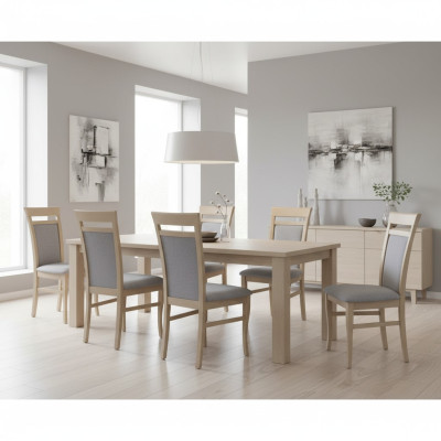 Set completo gruppo salotto 6 pezzi grigio, set di sedie da pranzo nuove  Set completo di salotto 6 pezzi grigio, set di nuove sedie da pranzo