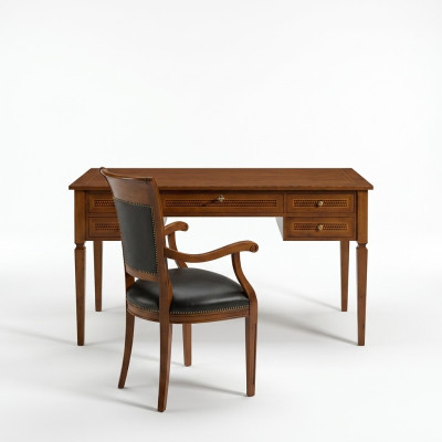 Sedie Imbottitura Sedia Set Legno Pelle Schienale completo Sala Sedie Tavoli 1x Nuovo