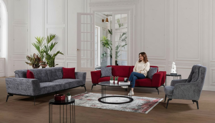 Sofà set 331 cuscini Seduta Divano Paesaggio abitativo Mobili Rosso Grigio