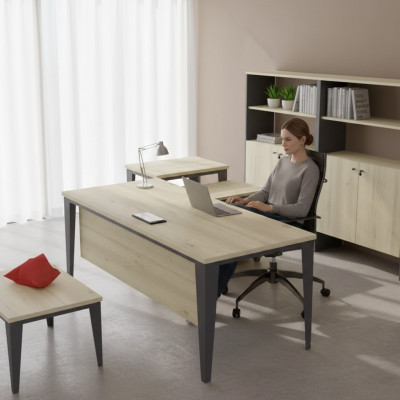 Designer Scrivania marrone Mobile per ufficio Tavoli in legno Mobili di lusso Nuovo