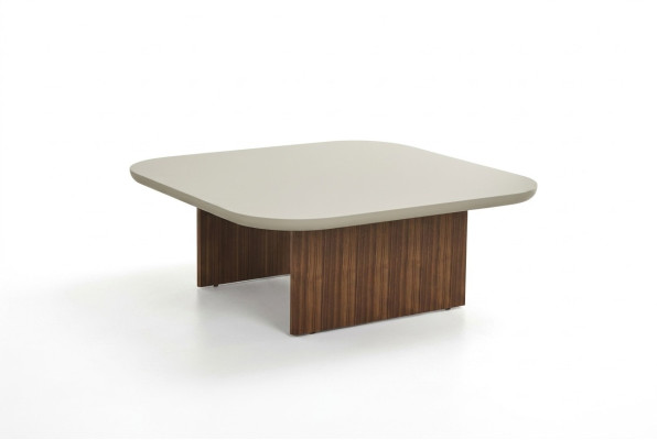 Tavolino da salotto Tavolino da appoggio Tavolo soggiorno Grigio Legno Design Mobili