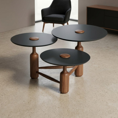 Tavolino da salotto completo in legno marrone.