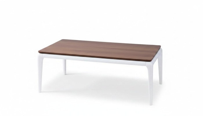 Tavolino da salotto di lusso marrone Soggiorno Mobili Tavolo Legno Design di lusso nuovo