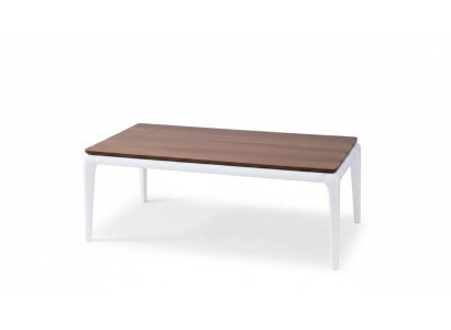 Tavolino da salotto di lusso marrone Soggiorno Mobili Tavolo Legno Design di lusso nuovo