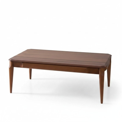 Tavolino da salotto in legno, mobili di lusso, design in legno, tavolino da salotto moderno marrone.
