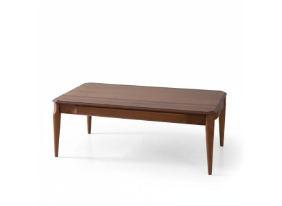 Tavolino da salotto in legno, mobili di lusso, design in legno, tavolino da salotto moderno marrone.