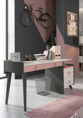 Scrivania del segretariato di design. Mobili da scrivania di lusso in legno.