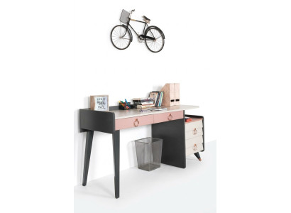 Scrivania del segretariato di design. Mobili da scrivania di lusso in legno.
