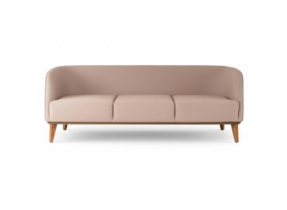 Divano beige Elegante divano a 2 posti Stile moderno per il soggiorno Divani imbottiti