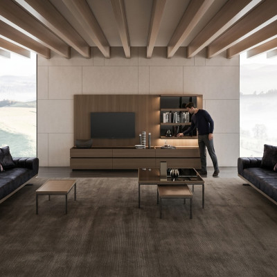 Mobili in legno Soggiorno Soggiorno di lusso Parete abitativa moderna Design Nuovo