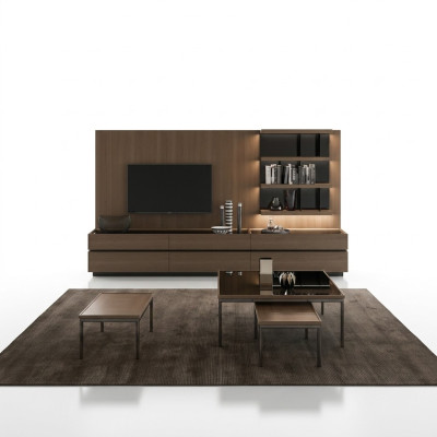 Mobili in legno Soggiorno Soggiorno di lusso Parete abitativa moderna Design Nuovo