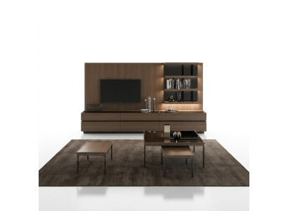 Mobili in legno Soggiorno Soggiorno di lusso Parete abitativa moderna Design Nuovo