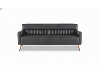 Studio, divano a 3 posti nero monocolore, design moderno, salotto.   Studio, divano a tre posti nero monocolore, design moderno, salotto.