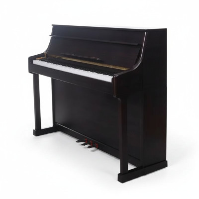 Pianoforte digitale squisito in nero per un'esperienza magistrale