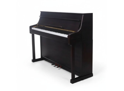 Pianoforte digitale squisito in nero per un'esperienza magistrale
