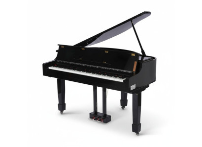 Pianoforte a coda nero Digitalpiano Pianoforte a coda lucido