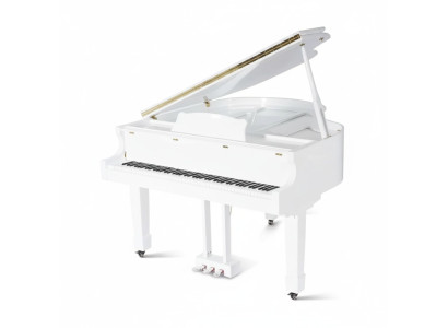 Pianoforte digitale pianoforte a coda lucido nero